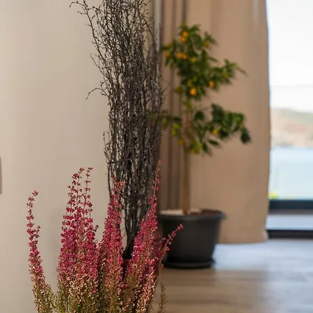 Aparthotel Ansira