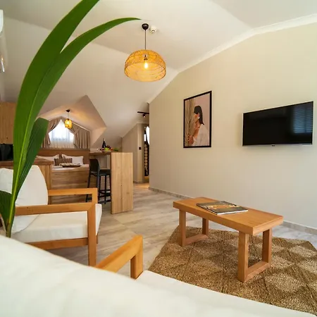 Aparthotel Ansira