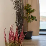 Aparthotel Ansira
