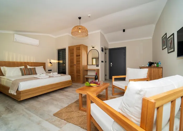 Ansira アパートホテル