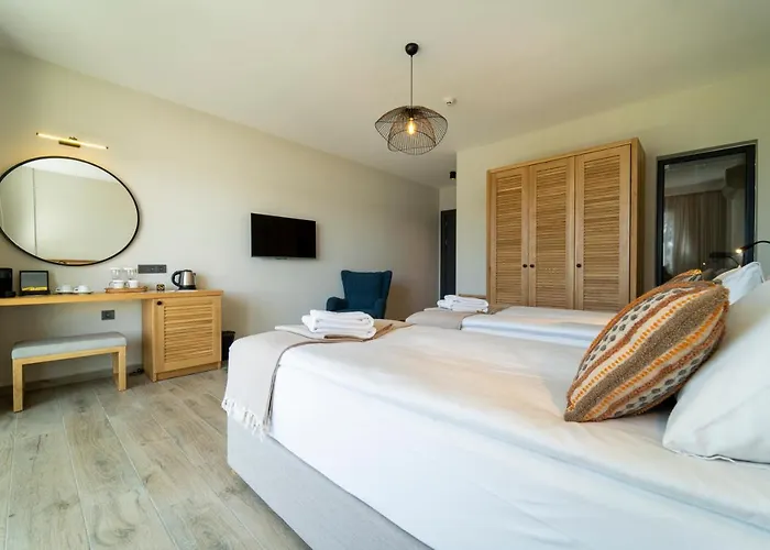 アパートホテル Ansira フェティエ