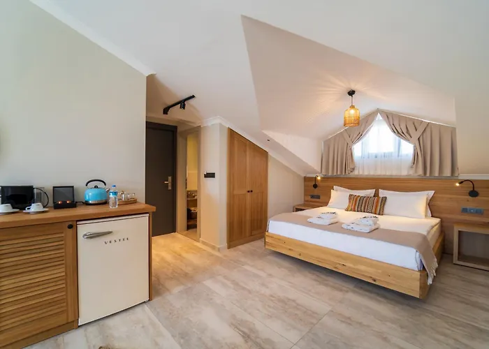 アパートホテル Ansira 4*