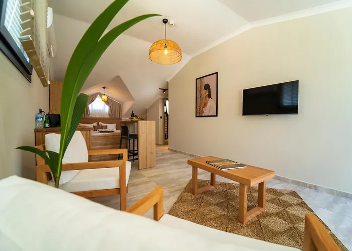 アパートホテル Ansira