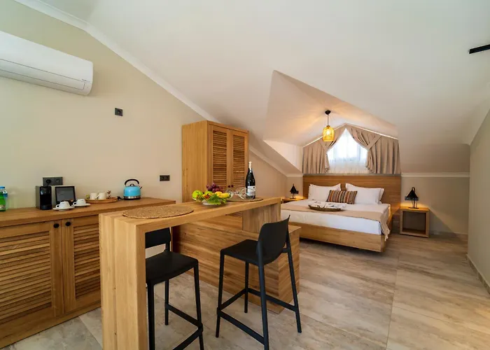 アパートホテル Ansira 4*