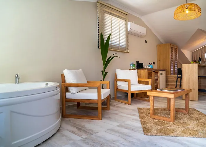 Ansira 4* フェティエ